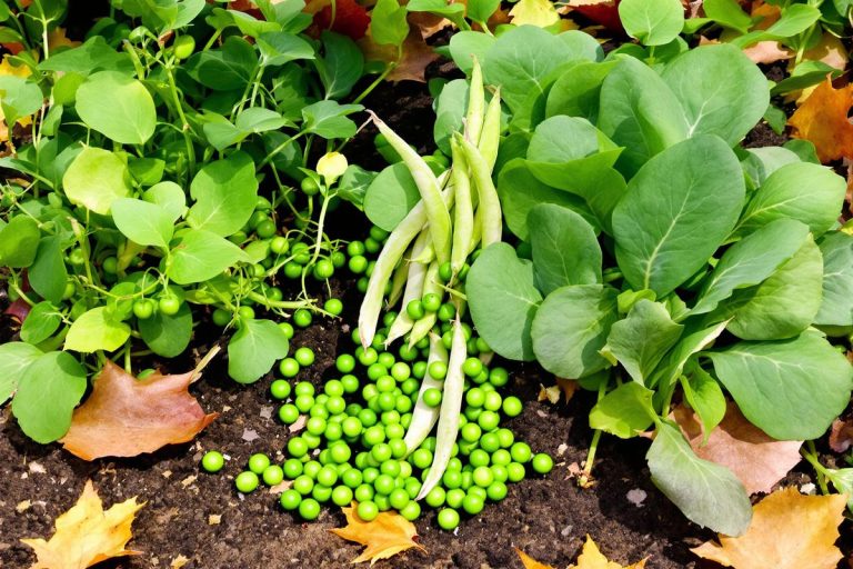 Les 3 légumes à semer en novembre pour une récolte ultra précoce.jpg
